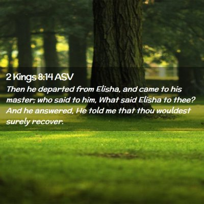 Picture 02 - 2 Kings 8:14 ASV - Then he departed from Elisha, and came to his - Bible Verse Picture