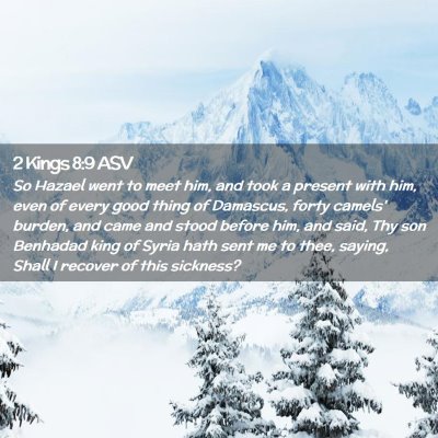 Picture 02 - 2 Kings 8:9 ASV - So Hazael went to meet him, and took a present - Bible Verse Picture
