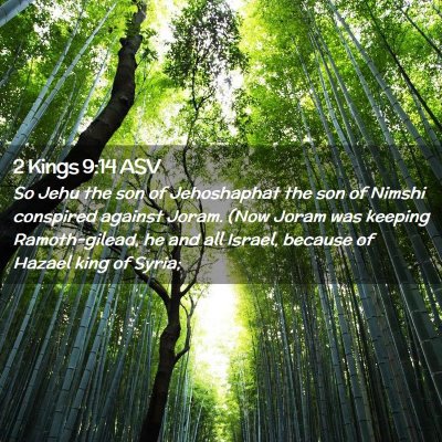 Picture 02 - 2 Kings 9:14 ASV - So Jehu the son of Jehoshaphat the son of Nimshi - Bible Verse Picture