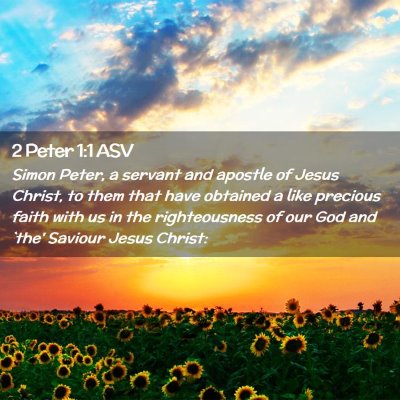 Picture 02 - 2 Peter 1:1 ASV - Simon Peter, a servant and apostle of Jesus - Bible Verse Picture