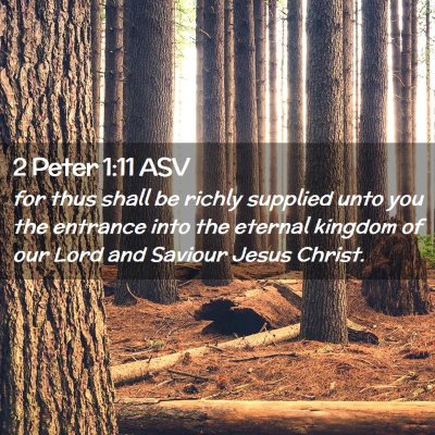 Picture 02 - 2 Peter 1:11 ASV - for thus shall be richly supplied unto you the - Bible Verse Picture