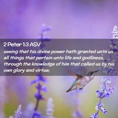 Picture 02 - 2 Peter 1:3 ASV - seeing that his divine power hath granted unto us - Bible Verse Picture