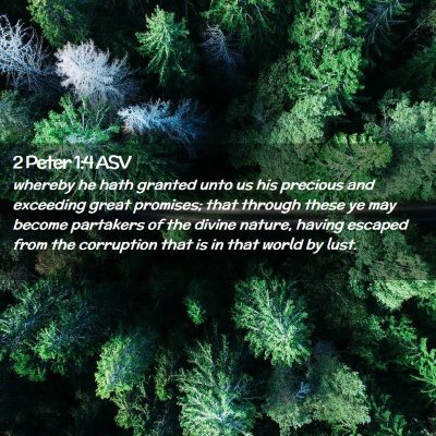Picture 02 - 2 Peter 1:4 ASV - whereby he hath granted unto us his precious and - Bible Verse Picture