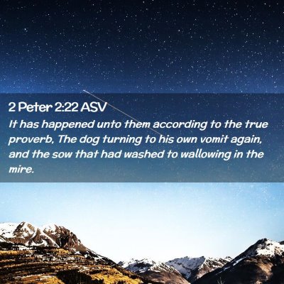 Picture 02 - 2 Peter 2:22 ASV - It has happened unto them according to the true - Bible Verse Picture