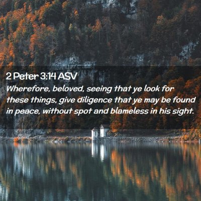 Picture 02 - 2 Peter 3:14 ASV - Wherefore, beloved, seeing that ye look for these - Bible Verse Picture