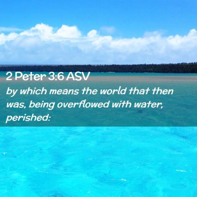 Picture 02 - 2 Peter 3:6 ASV - by which means the world that then was, being - Bible Verse Picture
