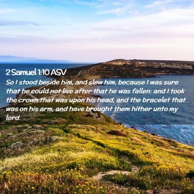 Picture 02 - 2 Samuel 1:10 ASV - So I stood beside him, and slew him, because I - Bible Verse Picture
