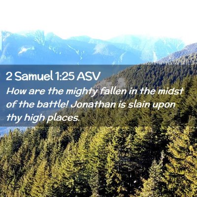 Picture 02 - 2 Samuel 1:25 ASV - How are the mighty fallen in the midst of the - Bible Verse Picture