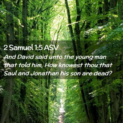 Picture 02 - 2 Samuel 1:5 ASV - And David said unto the young man that told him, - Bible Verse Picture