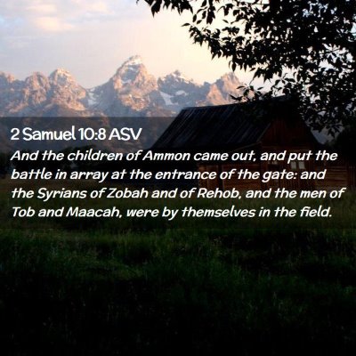 Picture 02 - 2 Samuel 10:8 ASV - And the children of Ammon came out, and put the - Bible Verse Picture