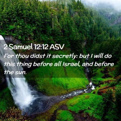 Picture 02 - 2 Samuel 12:12 ASV - For thou didst it secretly: but I will do this - Bible Verse Picture
