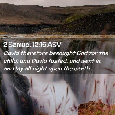 Picture 02 - 2 Samuel 12:16 ASV - David therefore besought God for the child; and - Bible Verse Picture