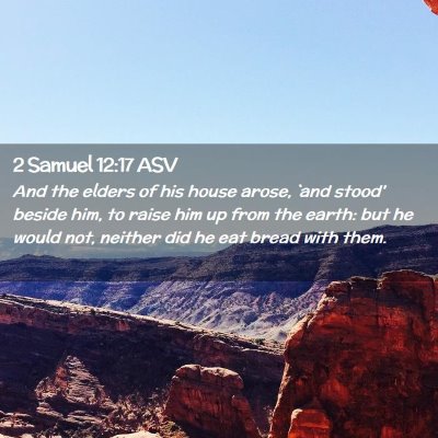 Picture 02 - 2 Samuel 12:17 ASV - And the elders of his house arose, `and stood' - Bible Verse Picture
