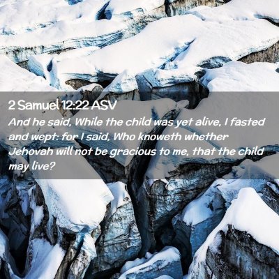 Picture 02 - 2 Samuel 12:22 ASV - And he said, While the child was yet alive, I - Bible Verse Picture