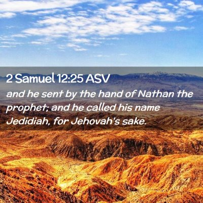 Picture 02 - 2 Samuel 12:25 ASV - and he sent by the hand of Nathan the prophet; - Bible Verse Picture