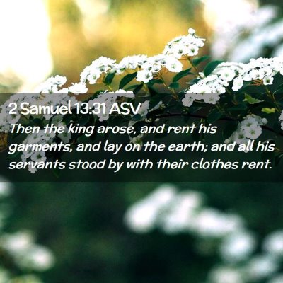 Picture 02 - 2 Samuel 13:31 ASV - Then the king arose, and rent his garments, and - Bible Verse Picture