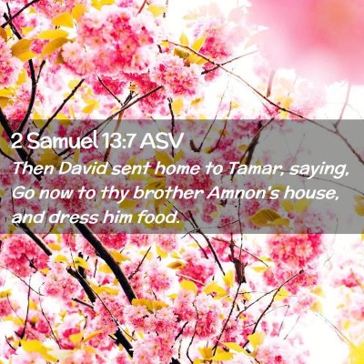 Picture 02 - 2 Samuel 13:7 ASV - Then David sent home to Tamar, saying, Go now to - Bible Verse Picture