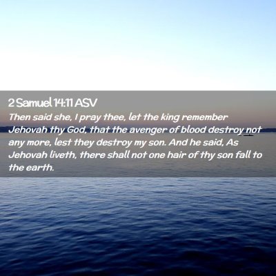 Picture 02 - 2 Samuel 14:11 ASV - Then said she, I pray thee, let the king remember - Bible Verse Picture