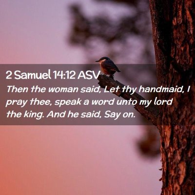 Picture 02 - 2 Samuel 14:12 ASV - Then the woman said, Let thy handmaid, I pray - Bible Verse Picture