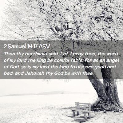 Picture 02 - 2 Samuel 14:17 ASV - Then thy handmaid said, Let, I pray thee, the - Bible Verse Picture