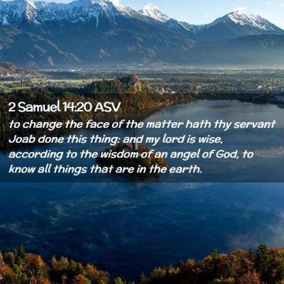 Picture 02 - 2 Samuel 14:20 ASV - to change the face of the matter hath thy servant - Bible Verse Picture