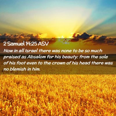 Picture 02 - 2 Samuel 14:25 ASV - Now in all Israel there was none to be so much - Bible Verse Picture