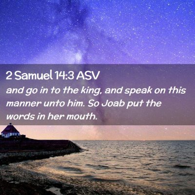 Picture 02 - 2 Samuel 14:3 ASV - and go in to the king, and speak on this manner - Bible Verse Picture