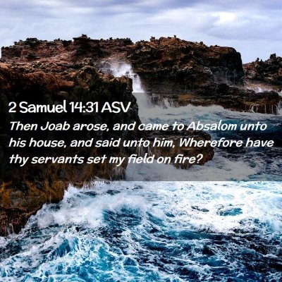 Picture 02 - 2 Samuel 14:31 ASV - Then Joab arose, and came to Absalom unto his - Bible Verse Picture