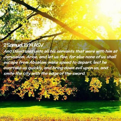 Picture 02 - 2 Samuel 15:14 ASV - And David said unto all his servants that were - Bible Verse Picture