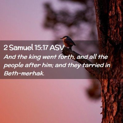 Picture 02 - 2 Samuel 15:17 ASV - And the king went forth, and all the people after - Bible Verse Picture