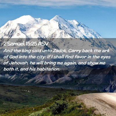 Picture 02 - 2 Samuel 15:25 ASV - And the king said unto Zadok, Carry back the ark - Bible Verse Picture