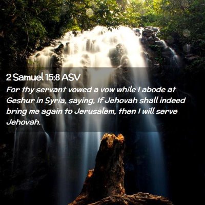 Picture 02 - 2 Samuel 15:8 ASV - For thy servant vowed a vow while I abode at - Bible Verse Picture