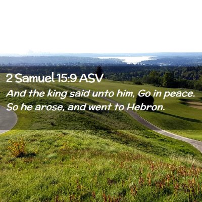 Picture 02 - 2 Samuel 15:9 ASV - And the king said unto him, Go in peace. So he - Bible Verse Picture