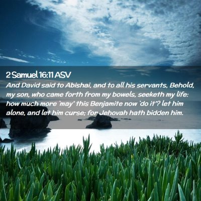 Picture 02 - 2 Samuel 16:11 ASV - And David said to Abishai, and to all his - Bible Verse Picture