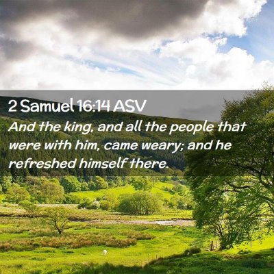 Picture 02 - 2 Samuel 16:14 ASV - And the king, and all the people that were with - Bible Verse Picture