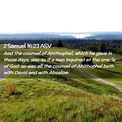 Picture 02 - 2 Samuel 16:23 ASV - And the counsel of Ahithophel, which he gave in - Bible Verse Picture