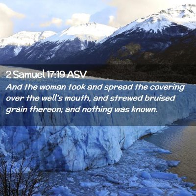 Picture 02 - 2 Samuel 17:19 ASV - And the woman took and spread the covering over - Bible Verse Picture