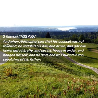 Picture 02 - 2 Samuel 17:23 ASV - And when Ahithophel saw that his counsel was not - Bible Verse Picture