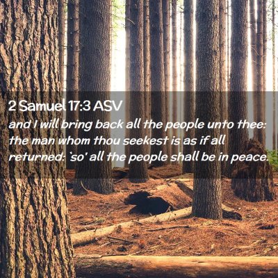 Picture 02 - 2 Samuel 17:3 ASV - and I will bring back all the people unto thee: - Bible Verse Picture