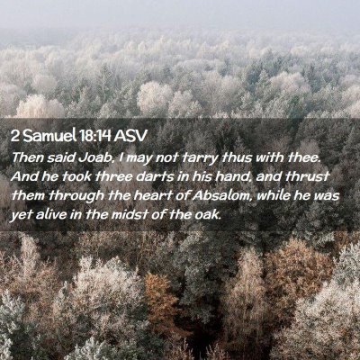 Picture 02 - 2 Samuel 18:14 ASV - Then said Joab, I may not tarry thus with thee. - Bible Verse Picture