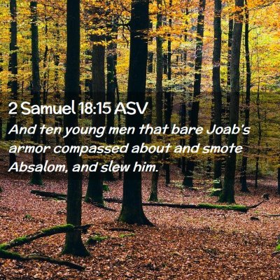 Picture 02 - 2 Samuel 18:15 ASV - And ten young men that bare Joab's armor - Bible Verse Picture