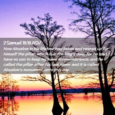 Picture 02 - 2 Samuel 18:18 ASV - Now Absalom in his lifetime had taken and reared - Bible Verse Picture