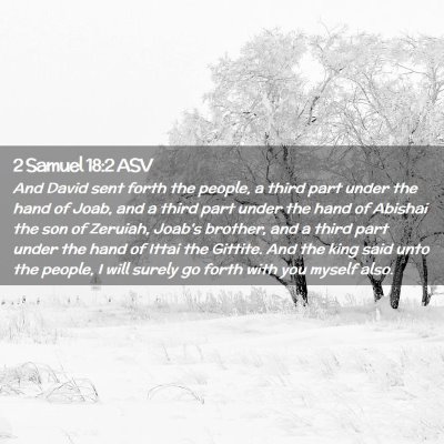 Picture 02 - 2 Samuel 18:2 ASV - And David sent forth the people, a third part - Bible Verse Picture