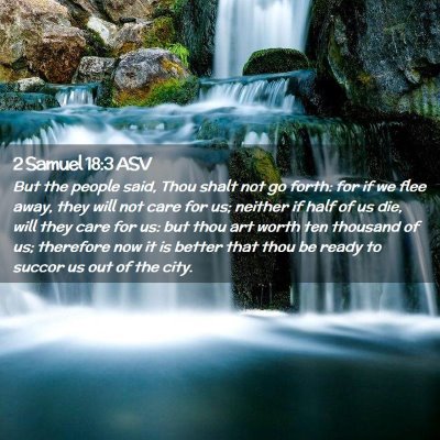 Picture 02 - 2 Samuel 18:3 ASV - But the people said, Thou shalt not go forth: for - Bible Verse Picture