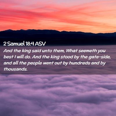 Picture 02 - 2 Samuel 18:4 ASV - And the king said unto them, What seemeth you - Bible Verse Picture