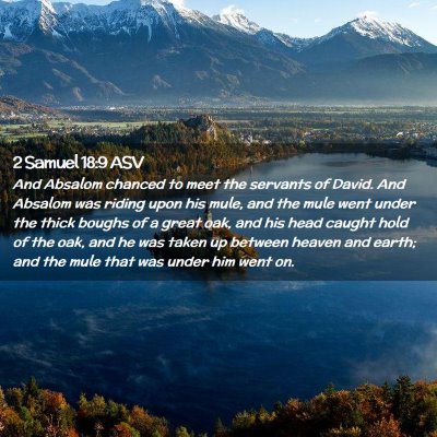 Picture 02 - 2 Samuel 18:9 ASV - And Absalom chanced to meet the servants of - Bible Verse Picture