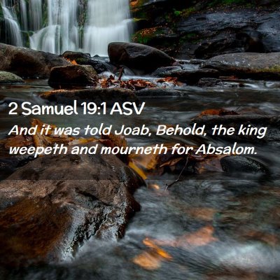 Picture 02 - 2 Samuel 19:1 ASV - And it was told Joab, Behold, the king weepeth - Bible Verse Picture