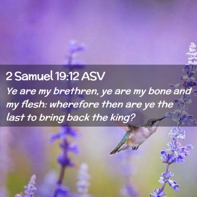 Picture 02 - 2 Samuel 19:12 ASV - Ye are my brethren, ye are my bone and my flesh: - Bible Verse Picture