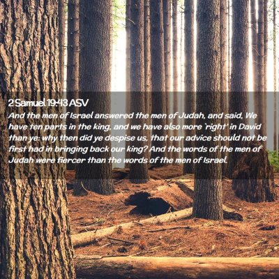 Picture 02 - 2 Samuel 19:43 ASV - And the men of Israel answered the men of Judah, - Bible Verse Picture
