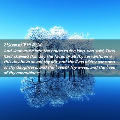 Picture 02 - 2 Samuel 19:5 ASV - And Joab came into the house to the king, and - Bible Verse Picture